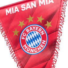 FC Bayern München kapje 25 x 37 cm