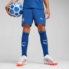 Olympique Marseille bal Puma Fan marineblauw