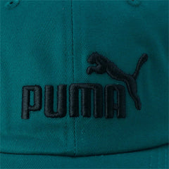 Puma huisdier nr. 1 volwassenen groen