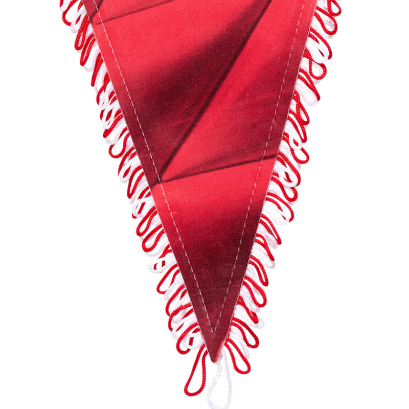 FC Bayern München wimpel 25 x 37 cm