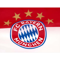 FC Bayern München vlag HF 100 x 150 cm