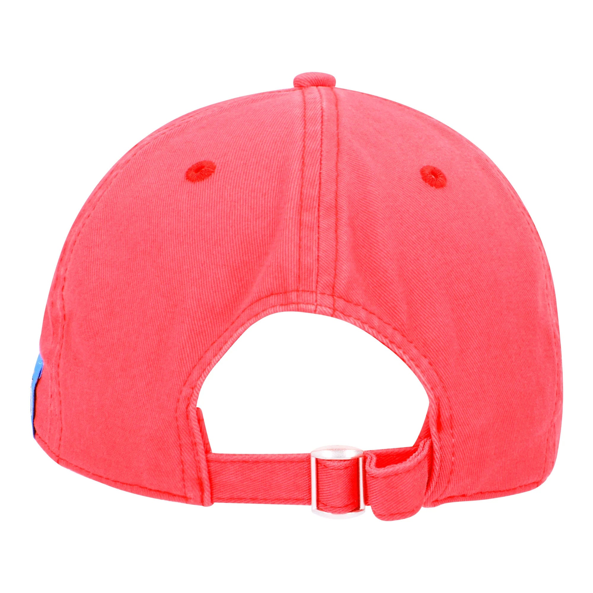 Club Brugge pet summer pink