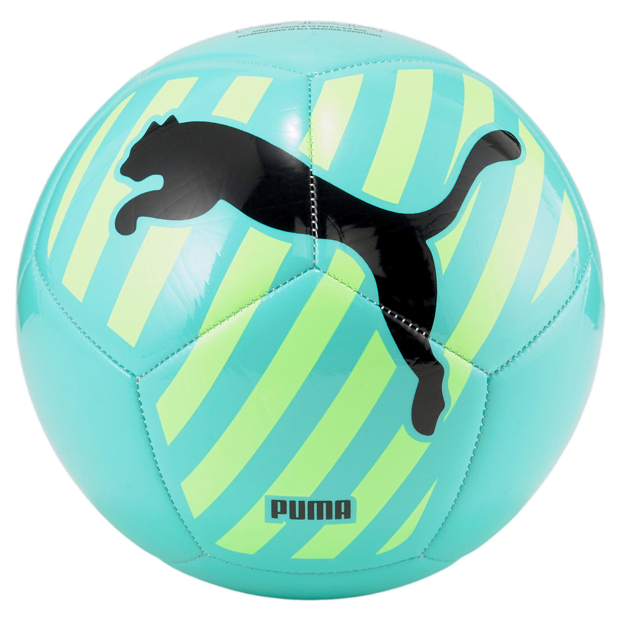 Puma bal gros chat vert