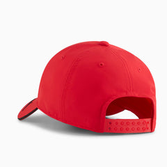 Ferrari pet Puma rood