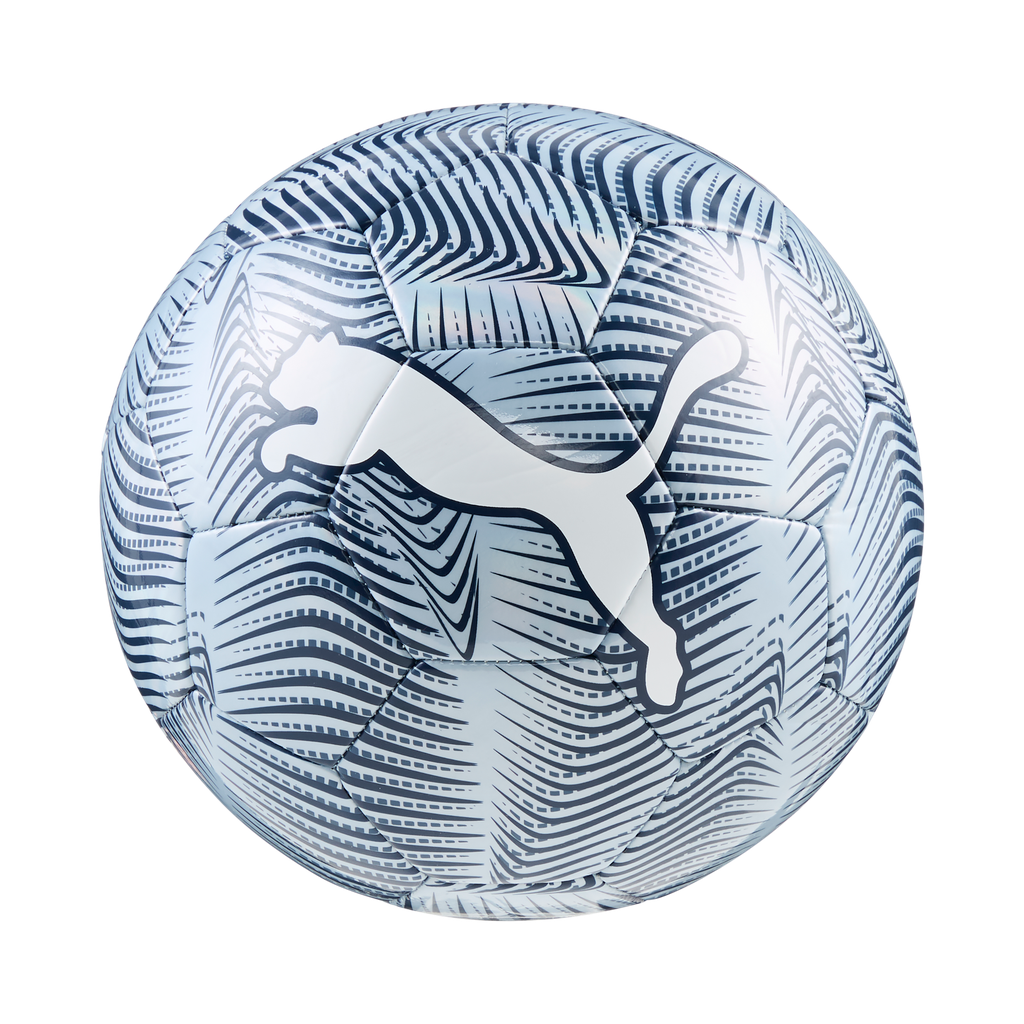 Puma bal Final Graphic persian