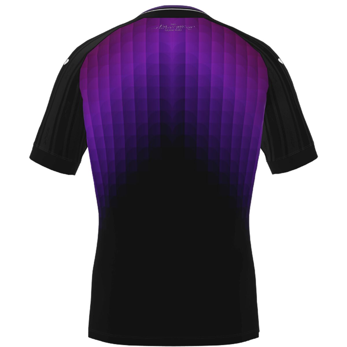 RSC Anderlecht tribute shirt Joma 2025-2026