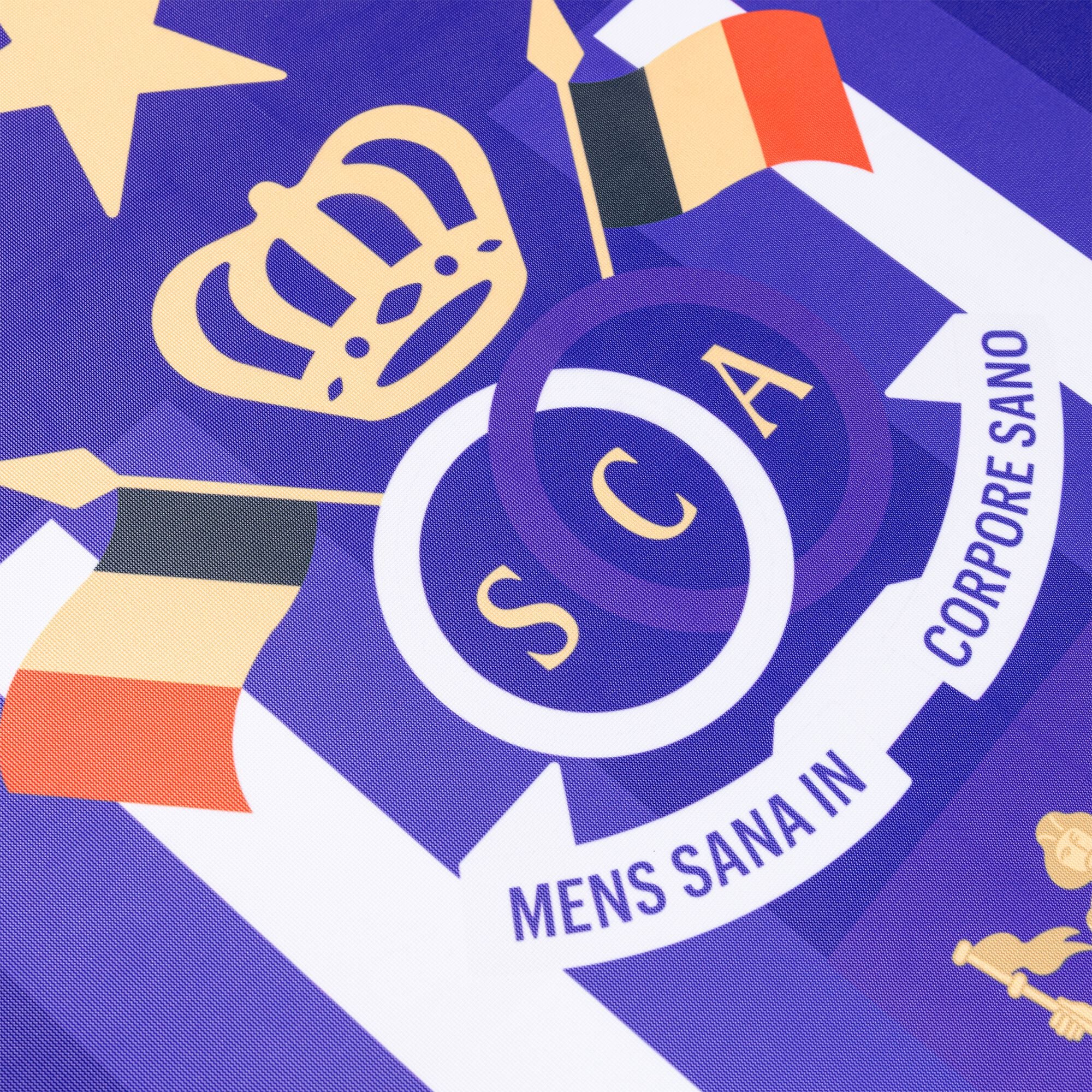 RSC Anderlecht vlag LG 90 x 150 cm